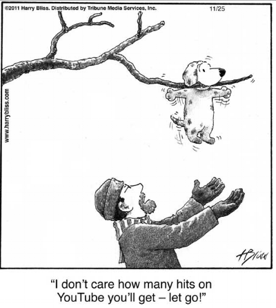DogInTree.png