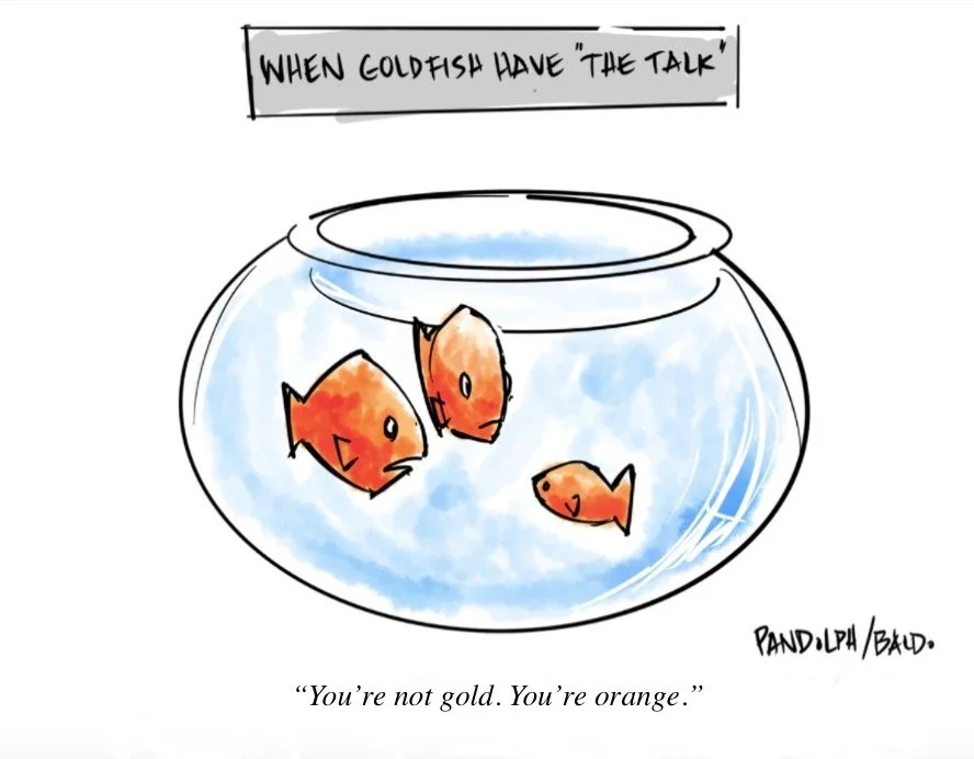Goldfish.jpg