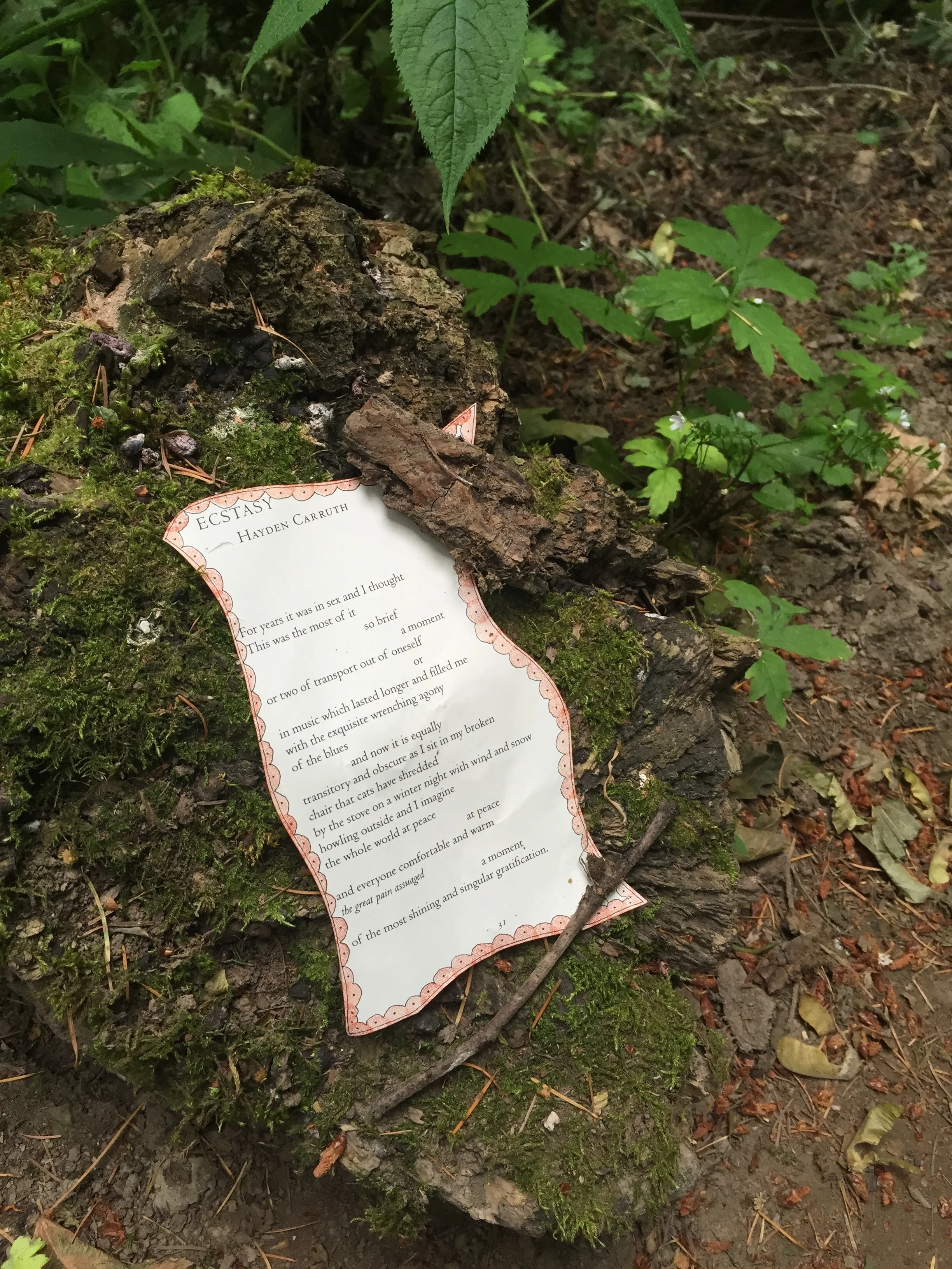 On the trail. Portland Oregon.