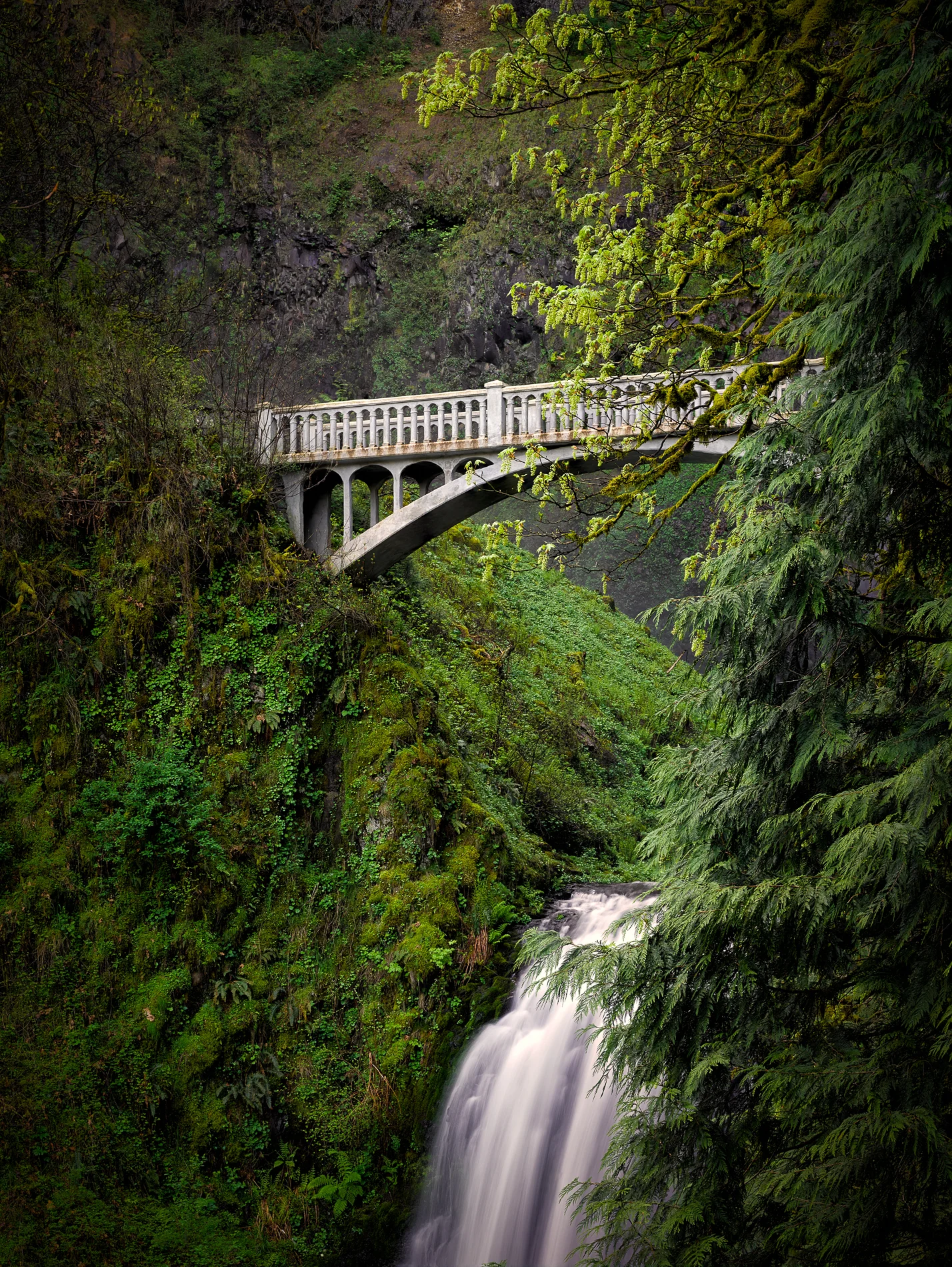 Multnomah Falls side view stack.jpg