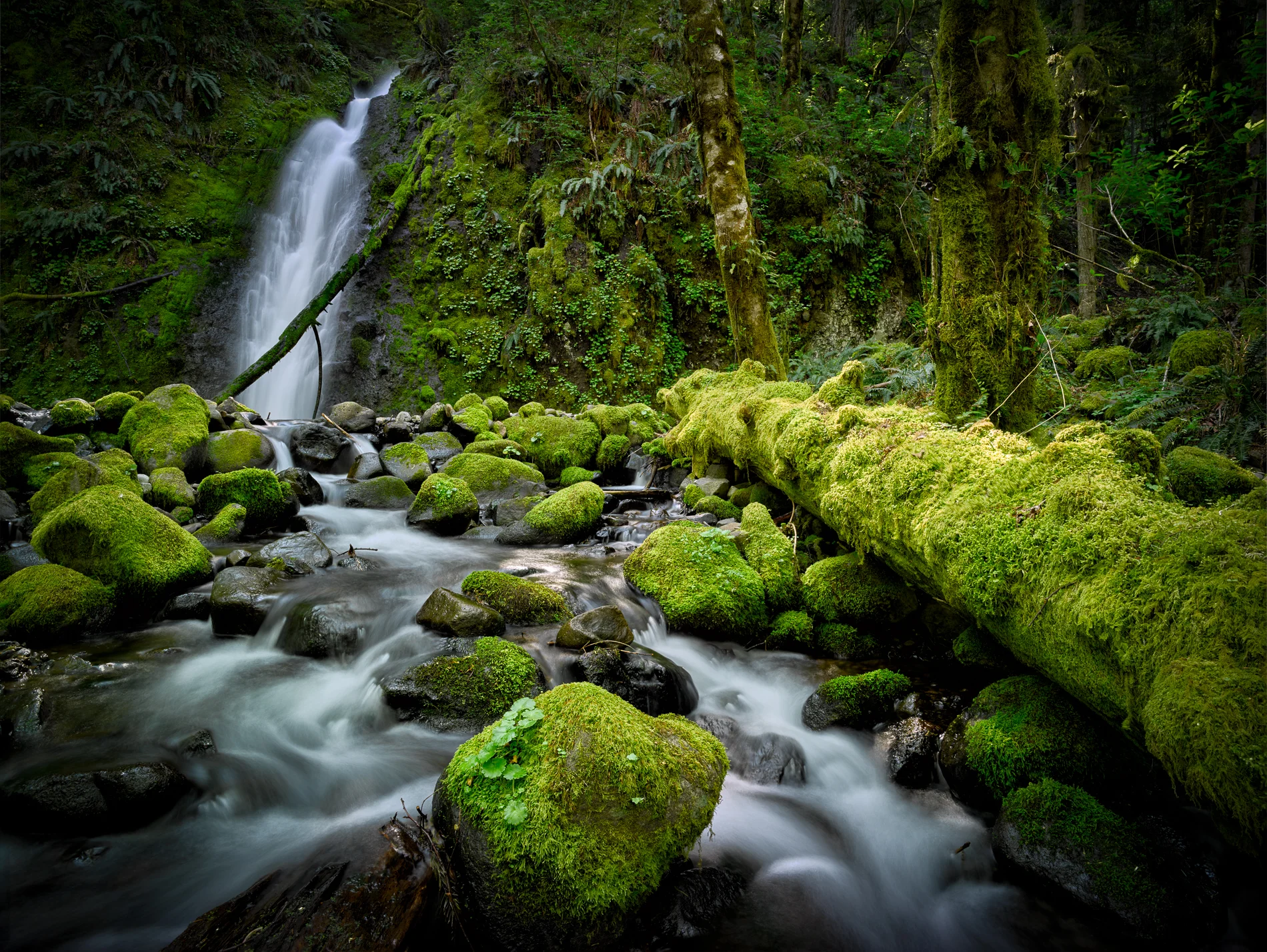 Ruckel Falls.jpg