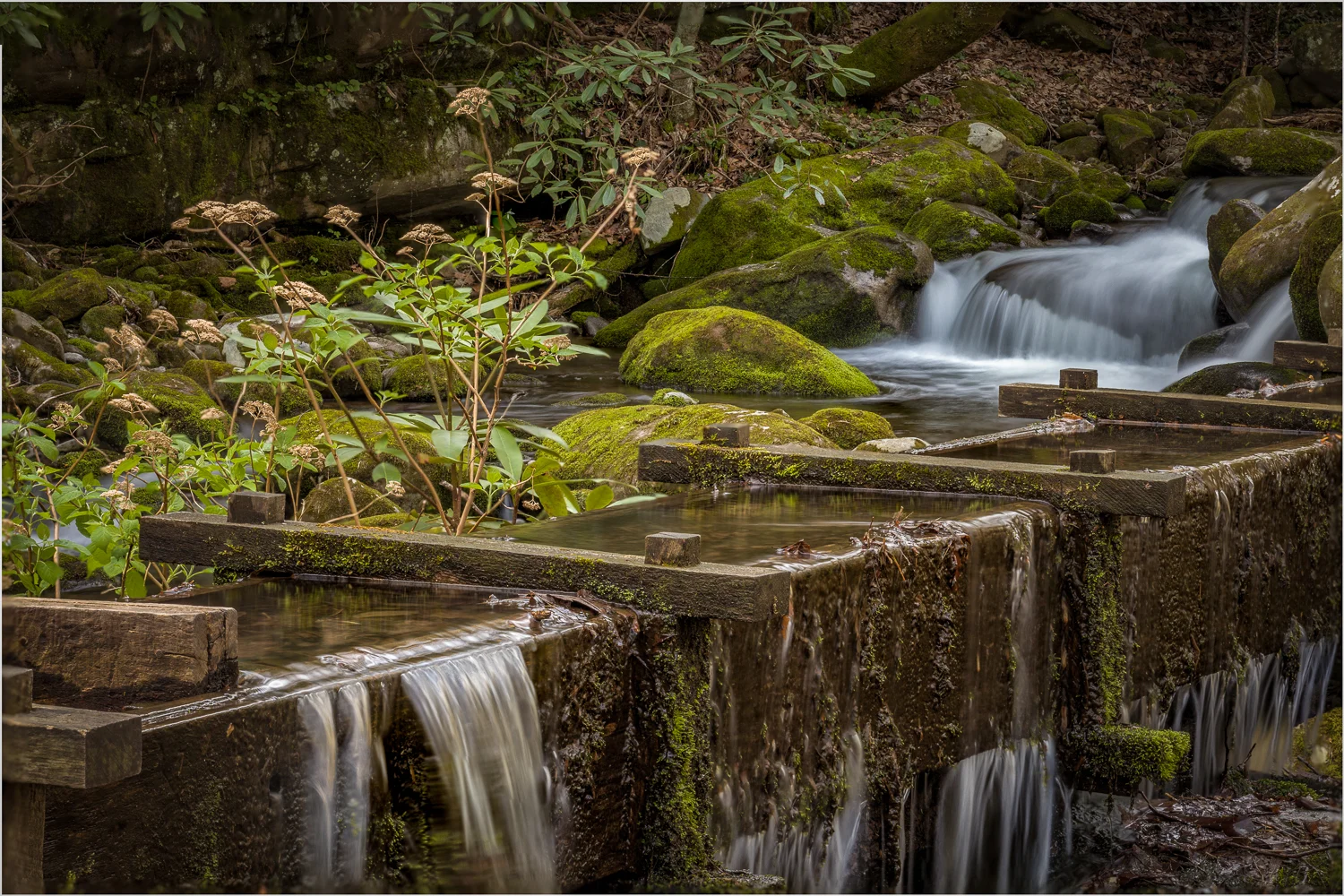 IMG_6342-Edit.jpg