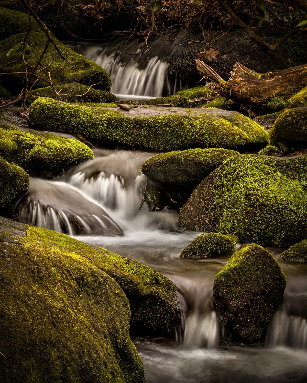 IMG_6570-Edit.jpg