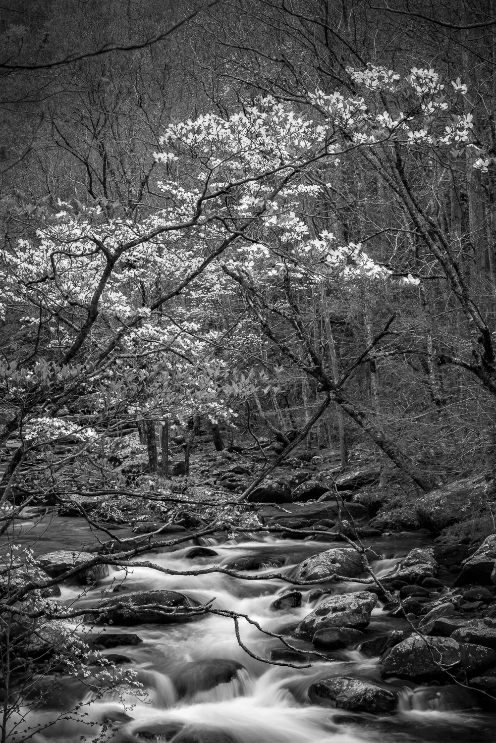 IMG_6627-Edit.jpg