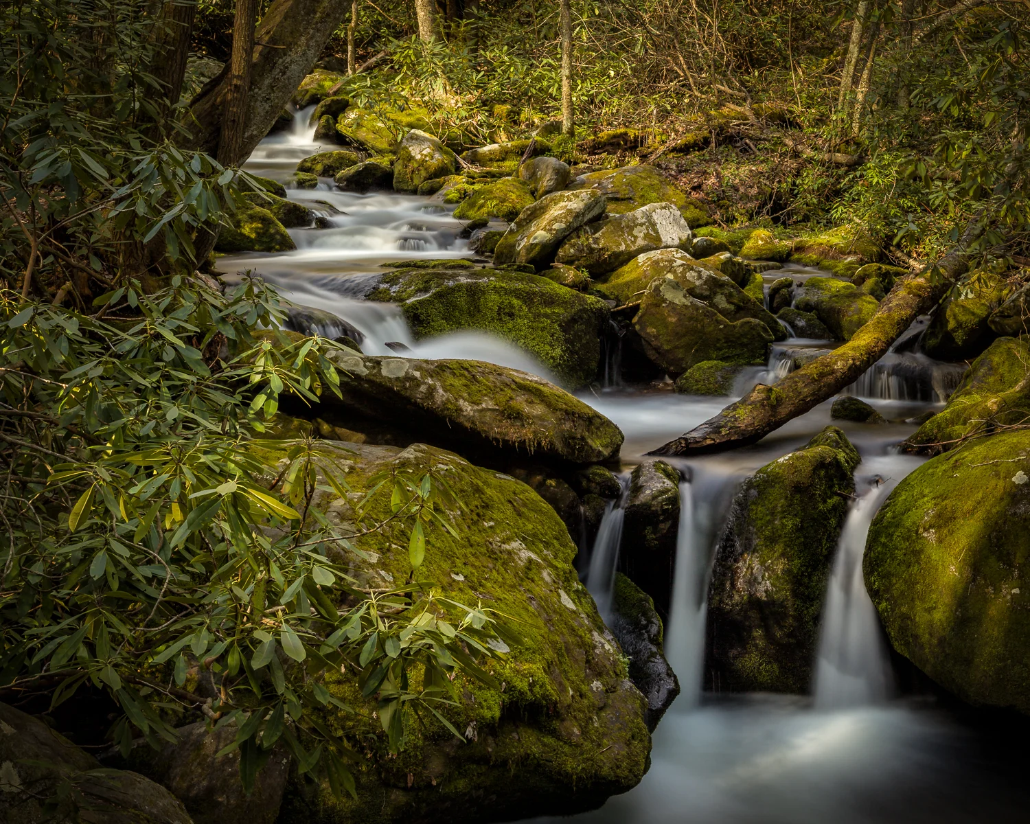 IMG_6714-Edit.jpg