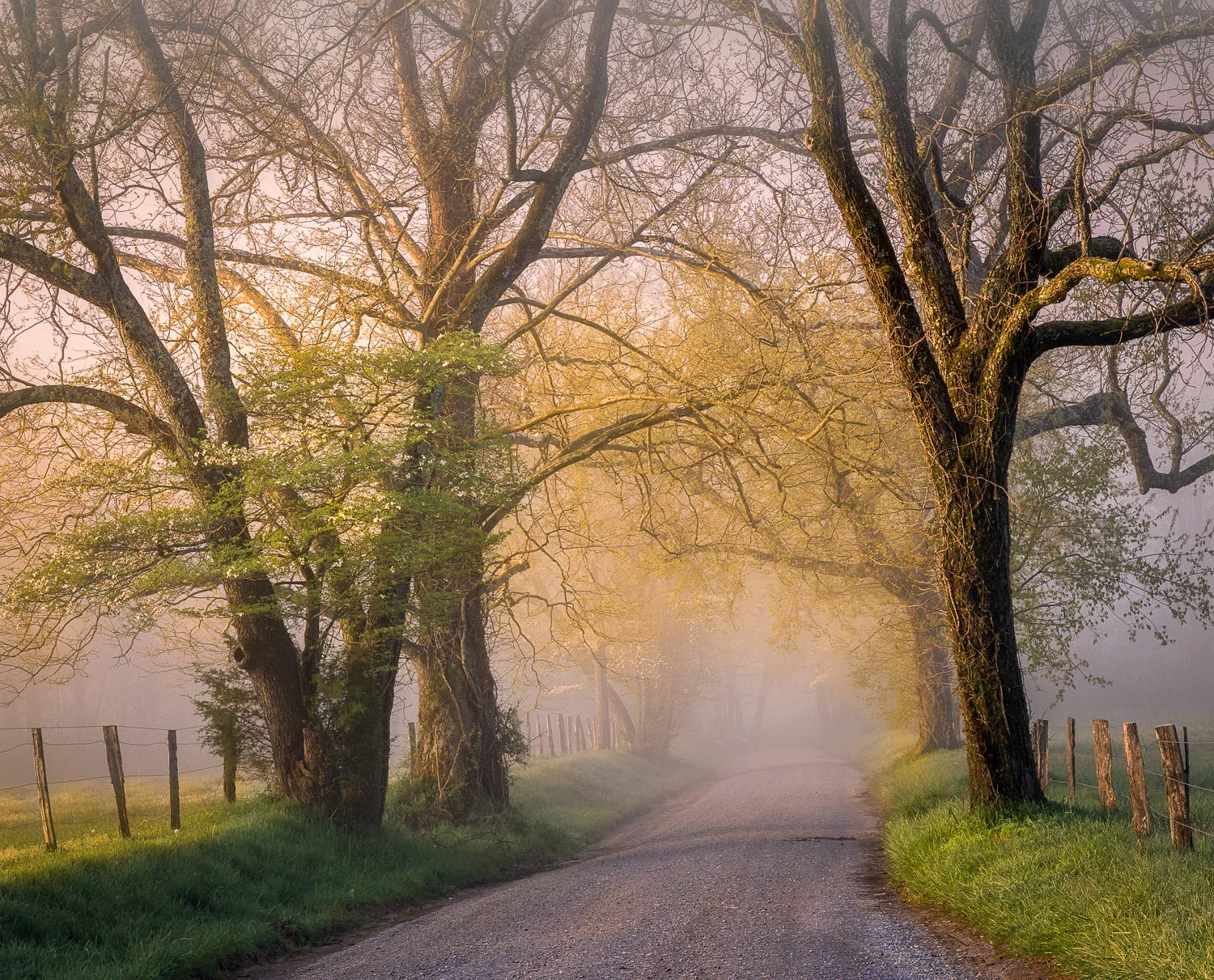 Sparks Lane 30x40 4800dpi-Edit.jpg