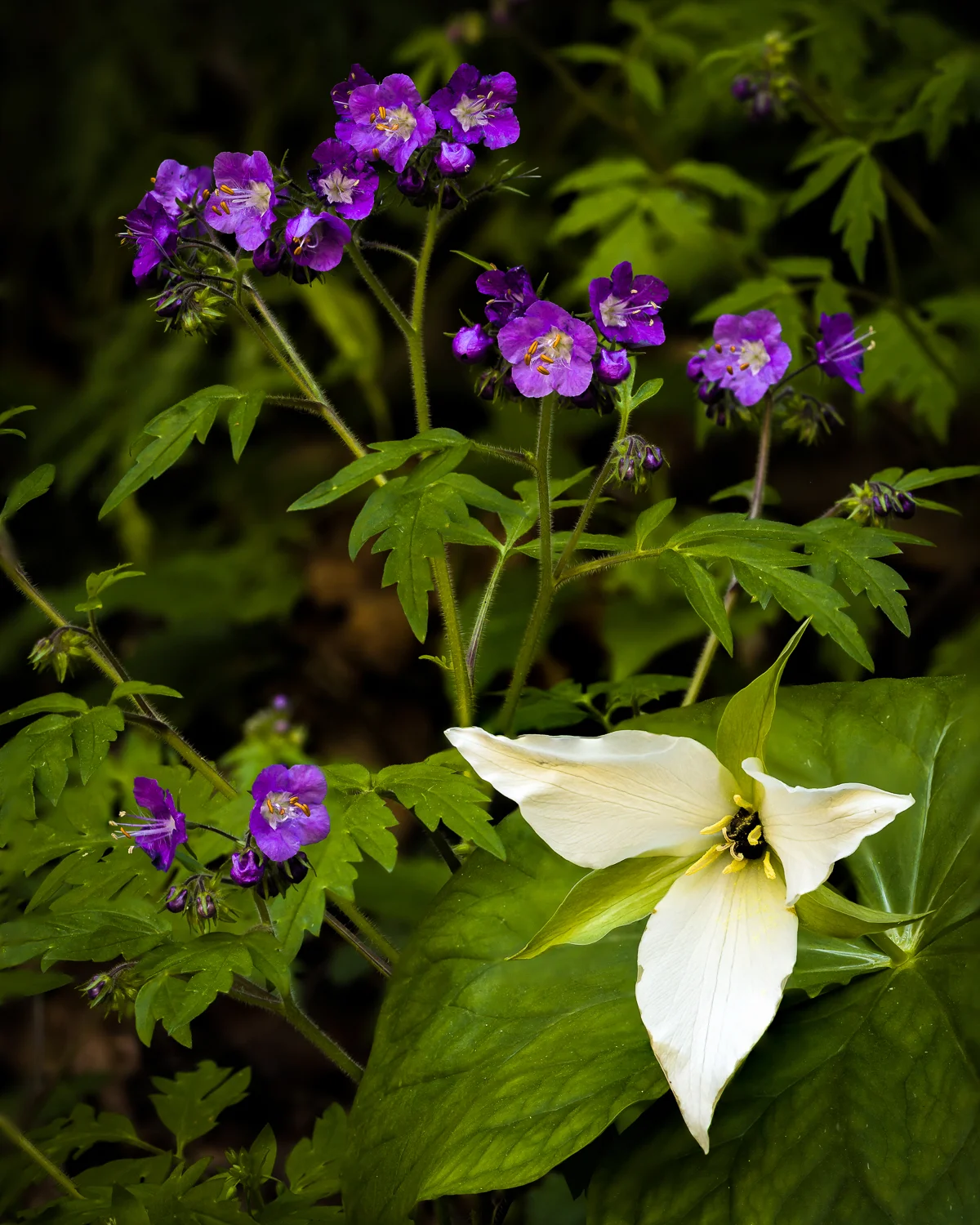 IMG_6355-Edit.jpg