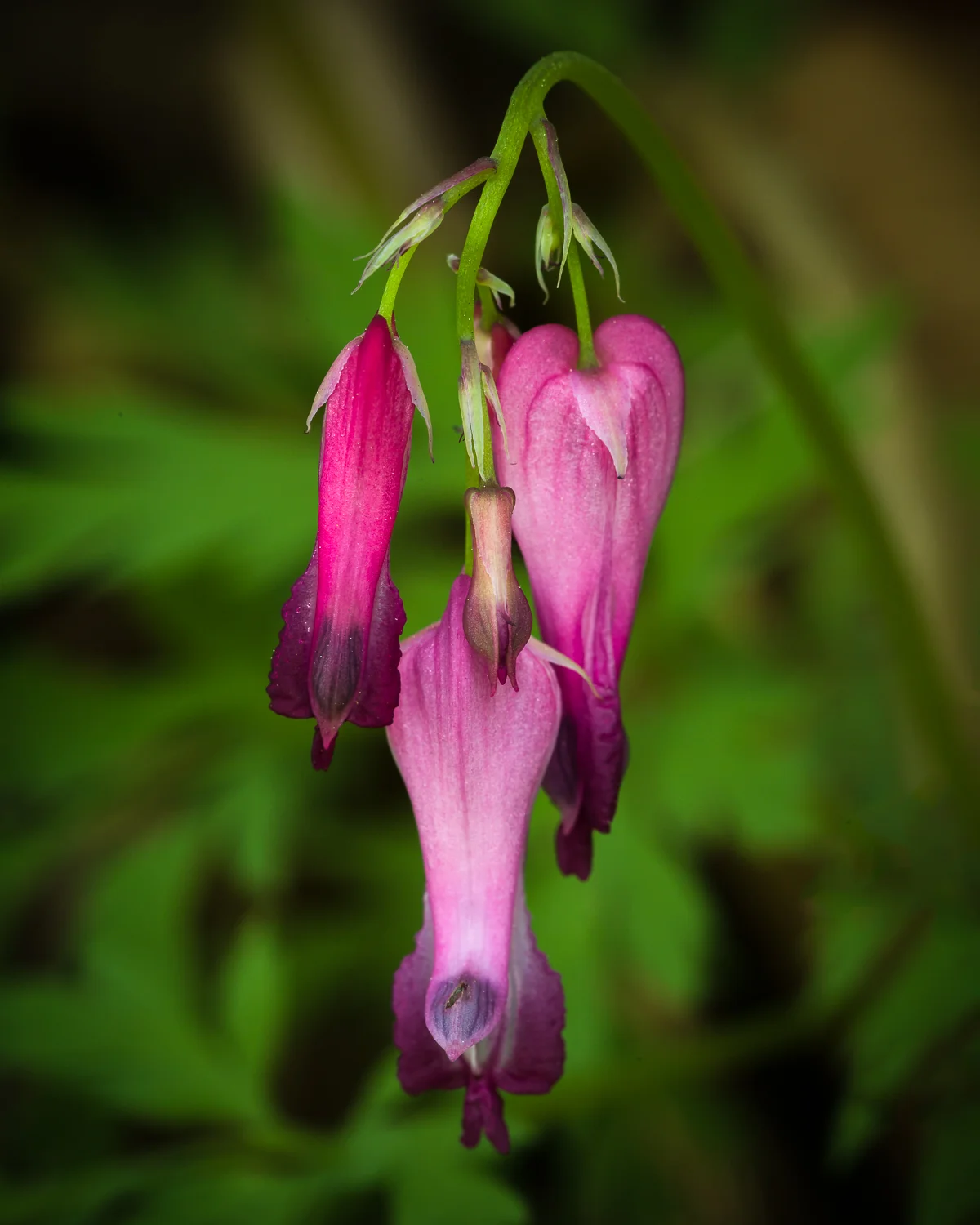 IMG_6739-Edit.jpg