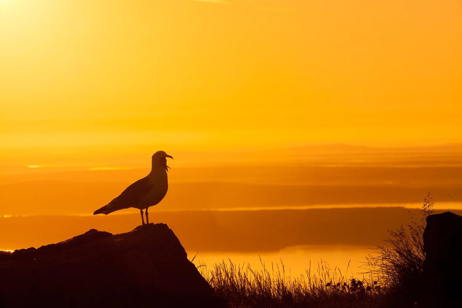 Acadia_June_2012-95.jpg