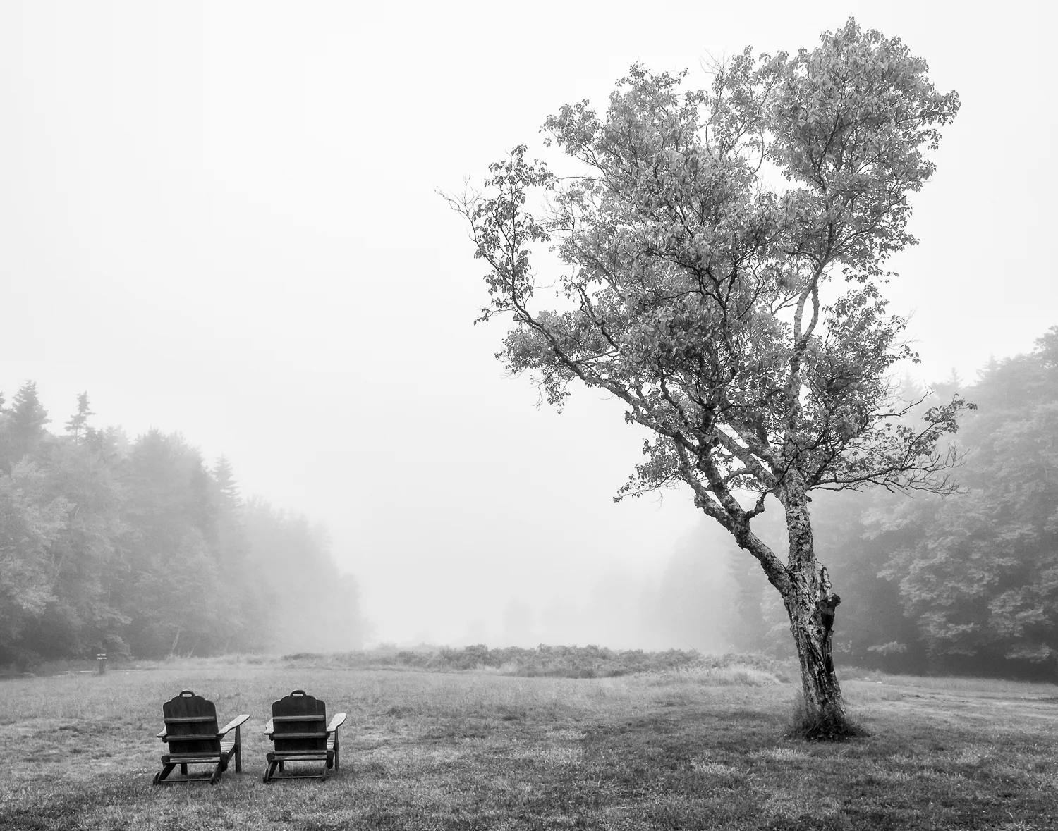 Acadia_June_2012-314-Edit-2.jpg