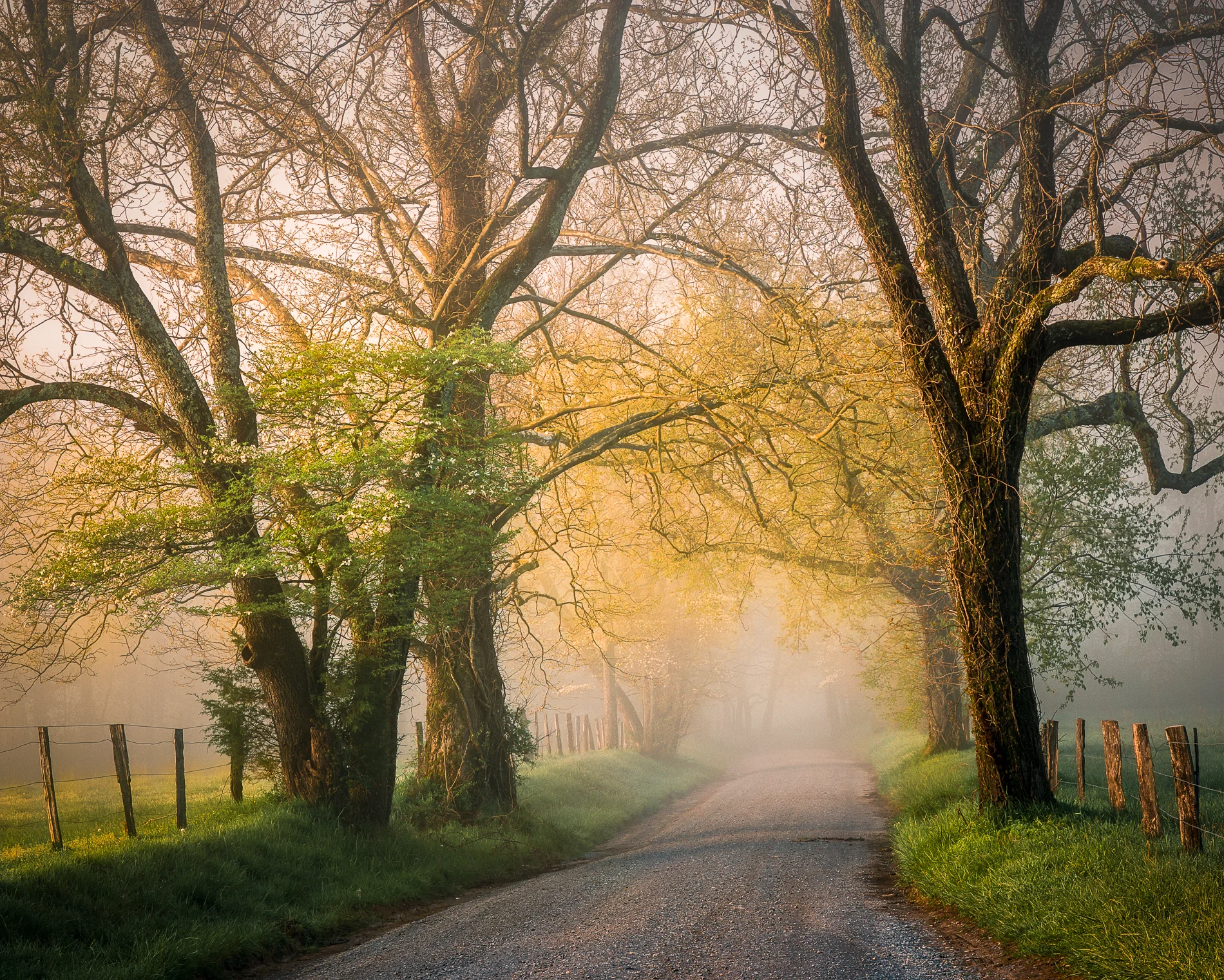 Smoky Mountain National Park-Landscapes