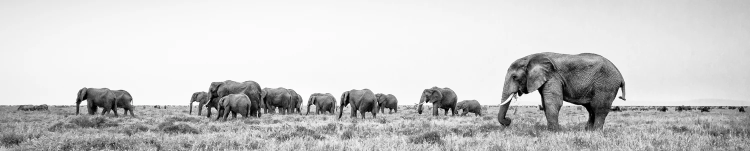 2011untitled2041-Edit.jpg