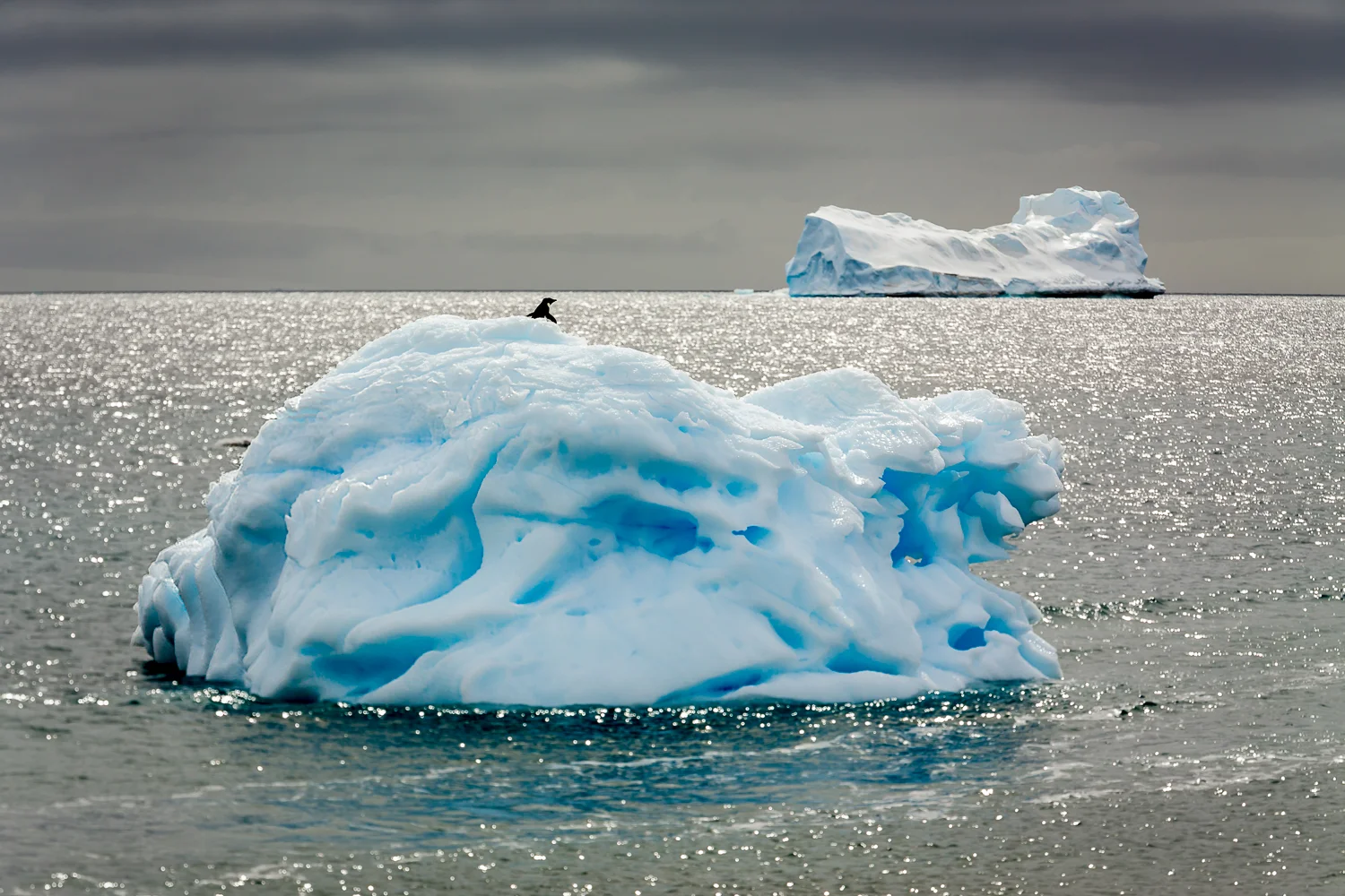 1DX_4738-Edit-2.jpg