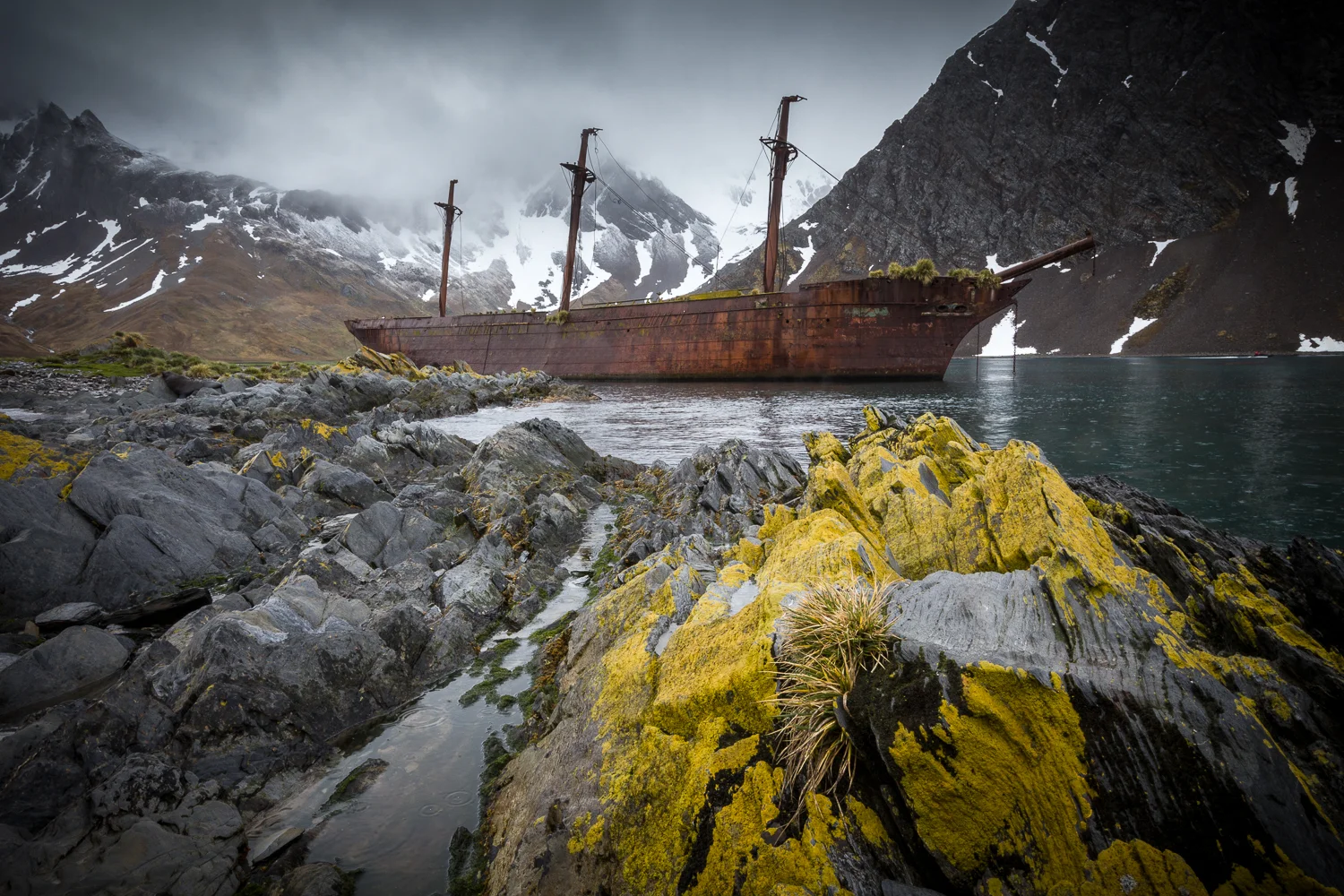 Antarctica and South Georgia Island