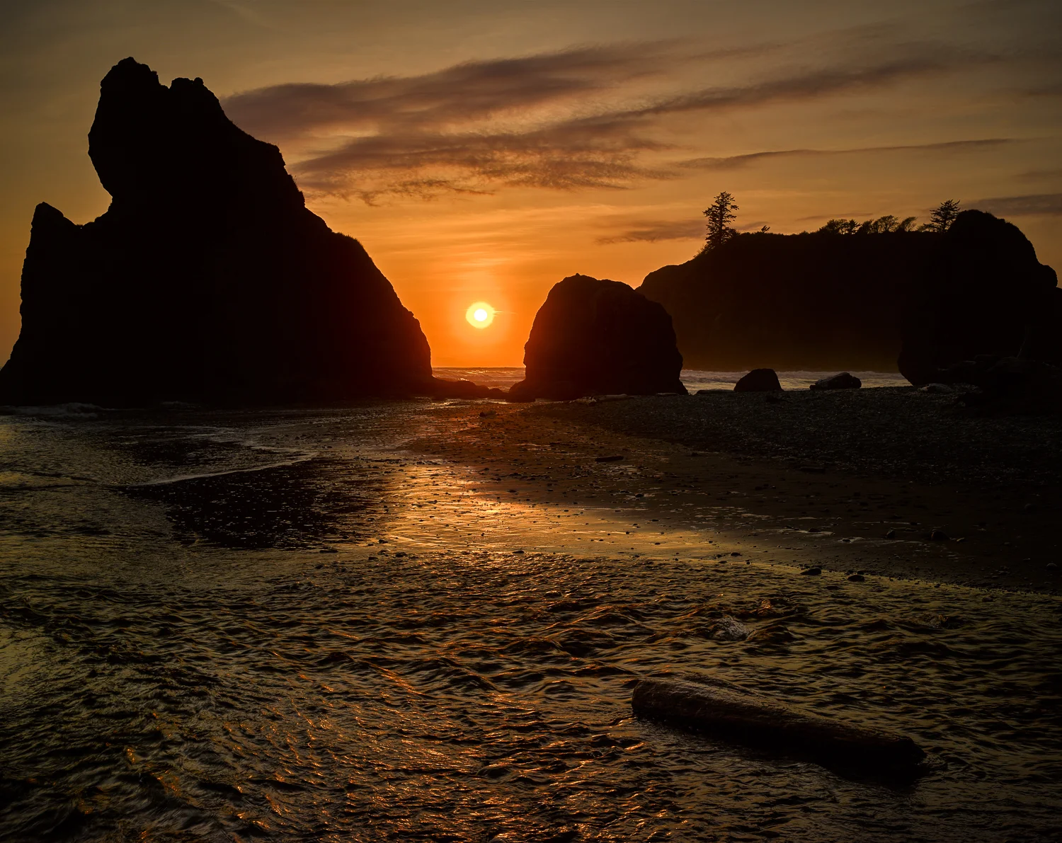 CF004502 1-2.jpg