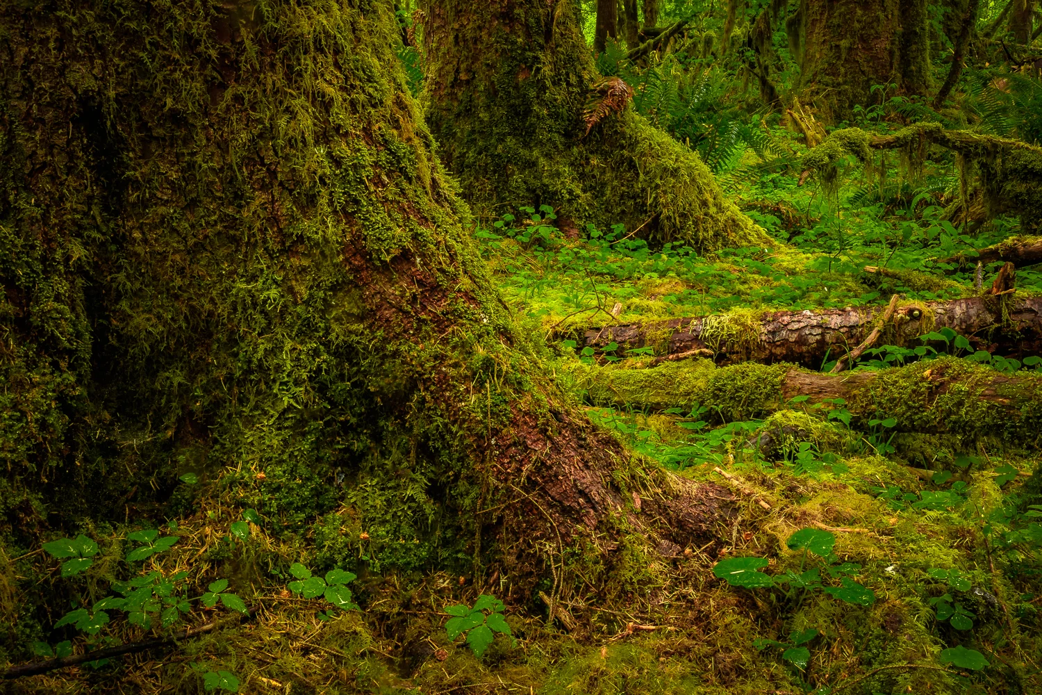 DSCF0789-Edit.jpg