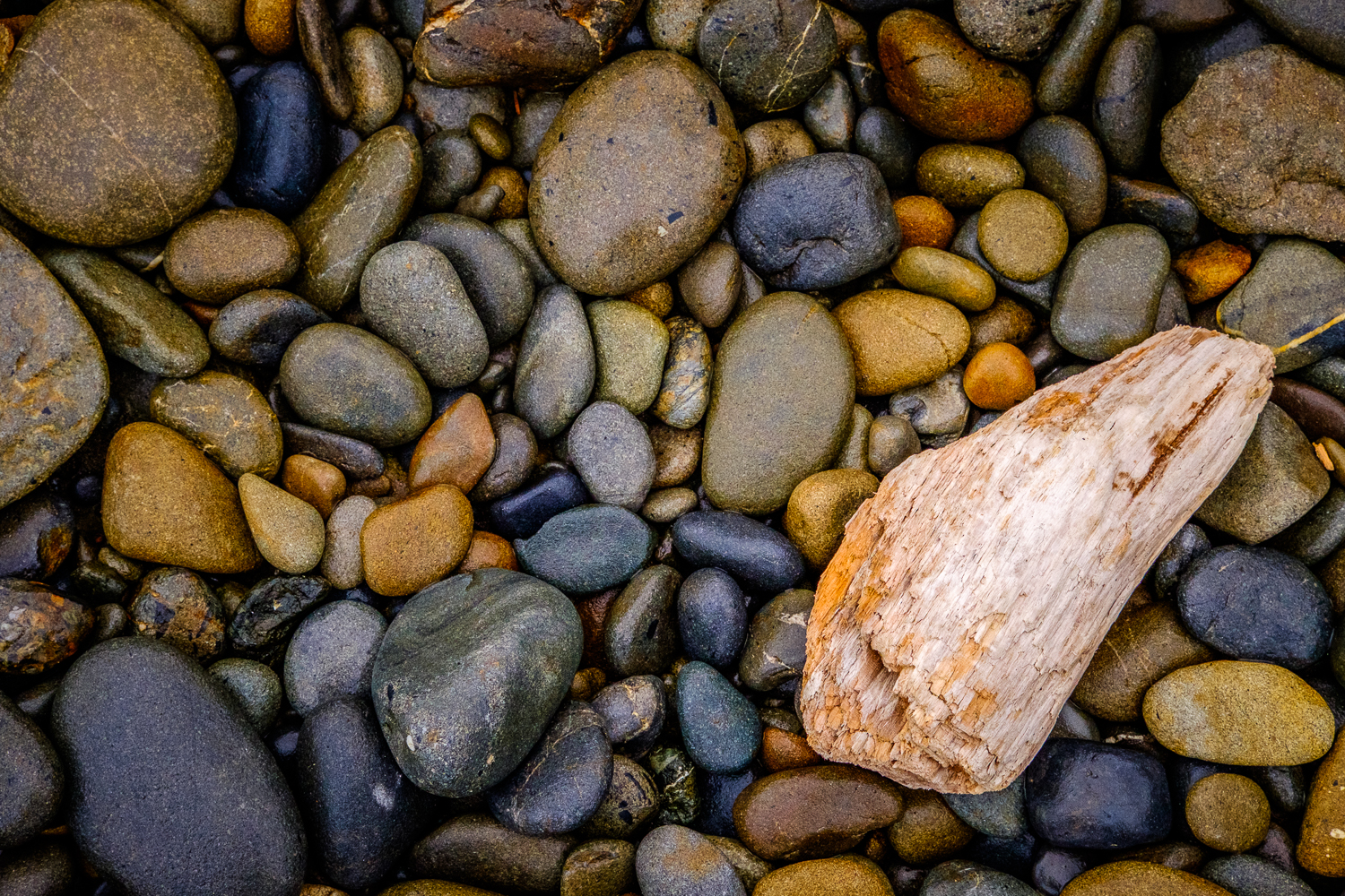 DSCF0877.jpg