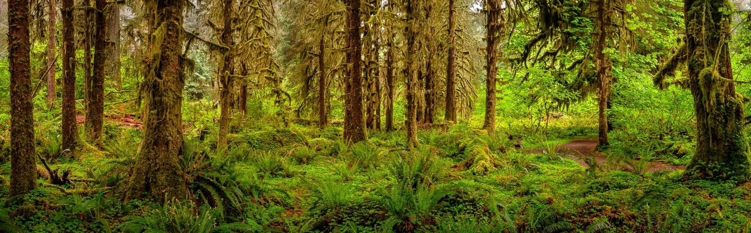 DSCF1015-Pano.jpg