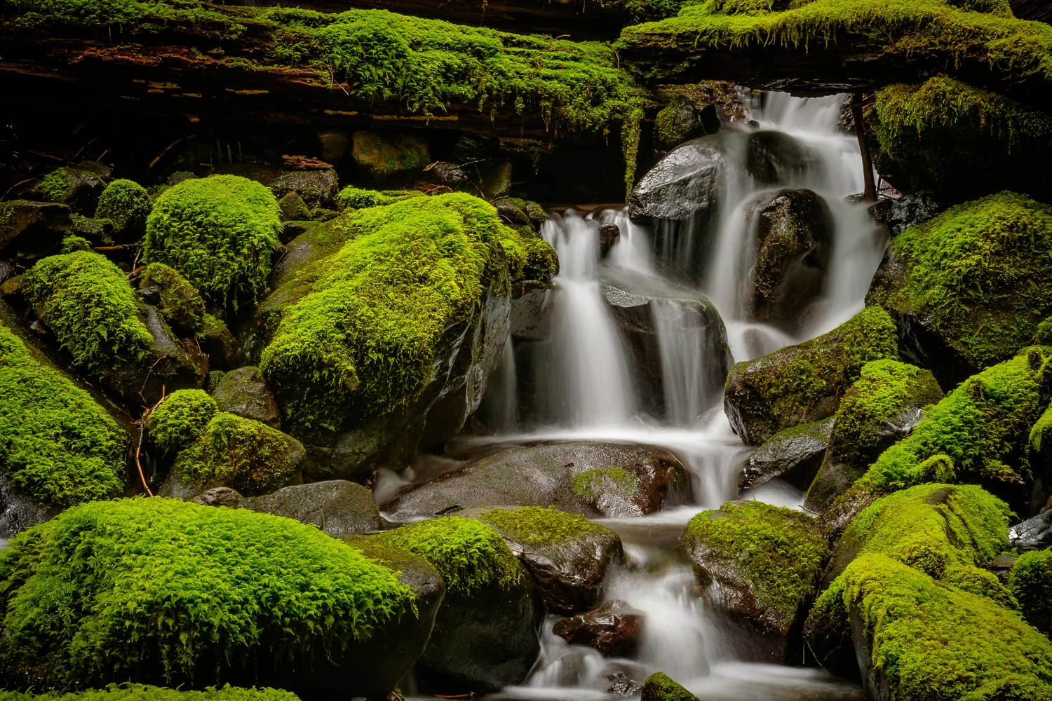 DSCF1051.jpg