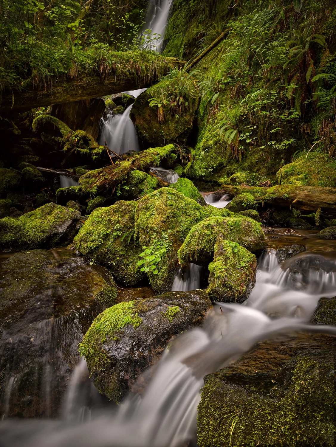 Merriman Falls Stack III.jpg