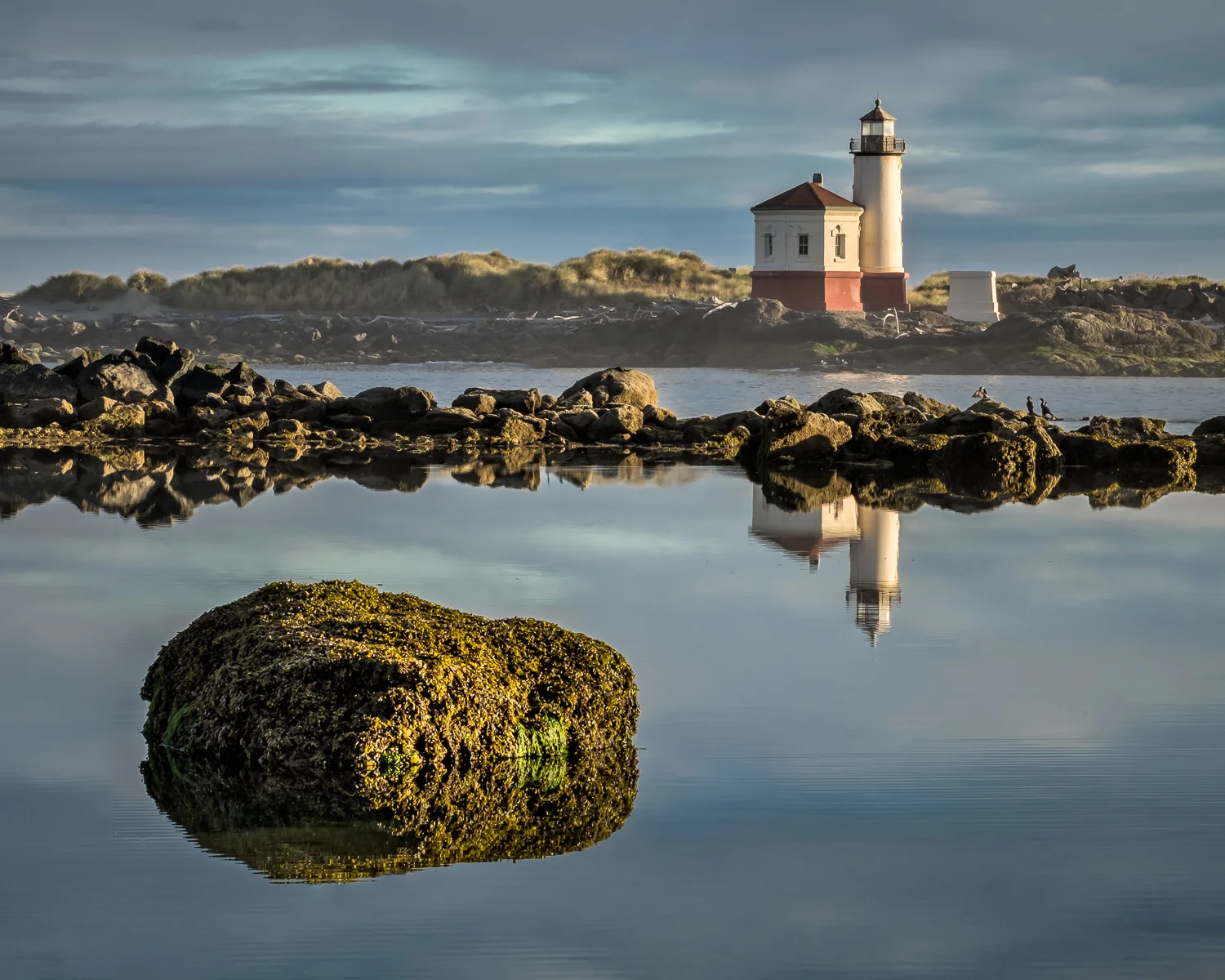 DSCF1718-Edit.jpg
