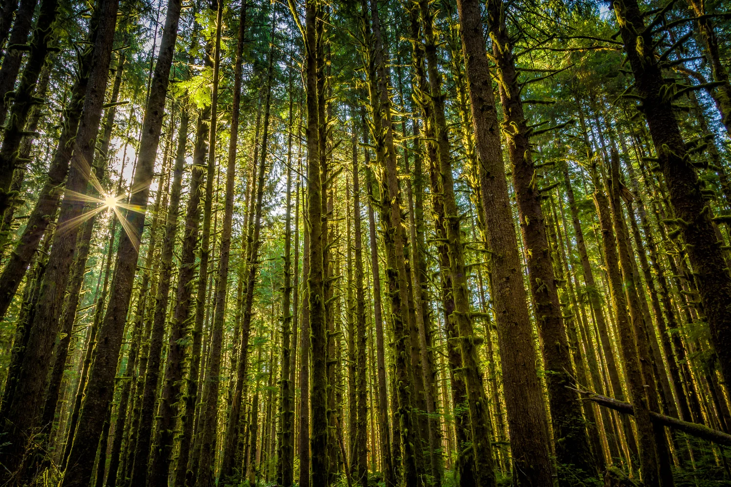 5D3_9685-Comp-Edit.jpg