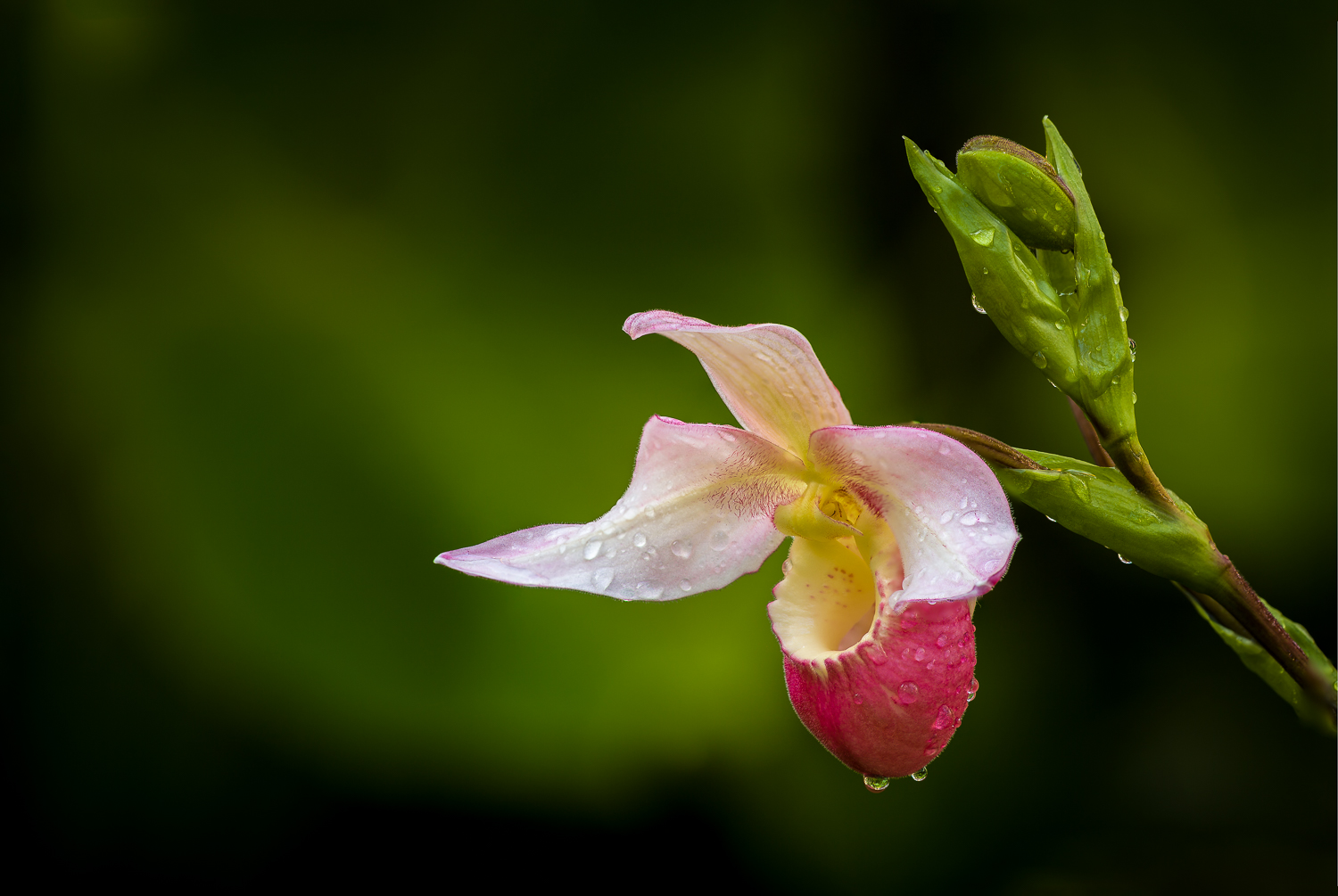 IMG_5769-Edit.jpg
