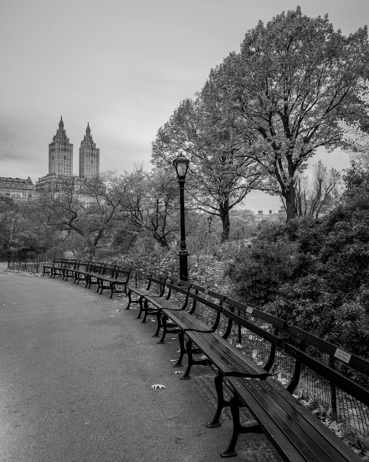 CentralPark1116-2014_30.jpg