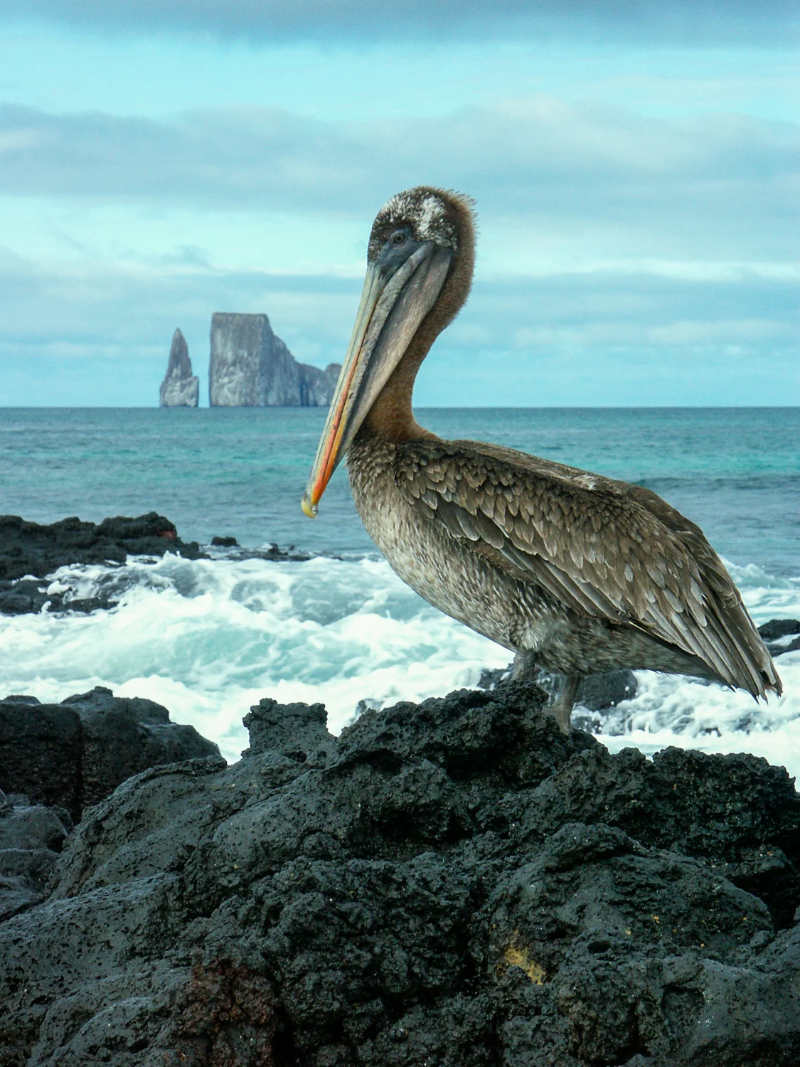 PICT0125.jpg