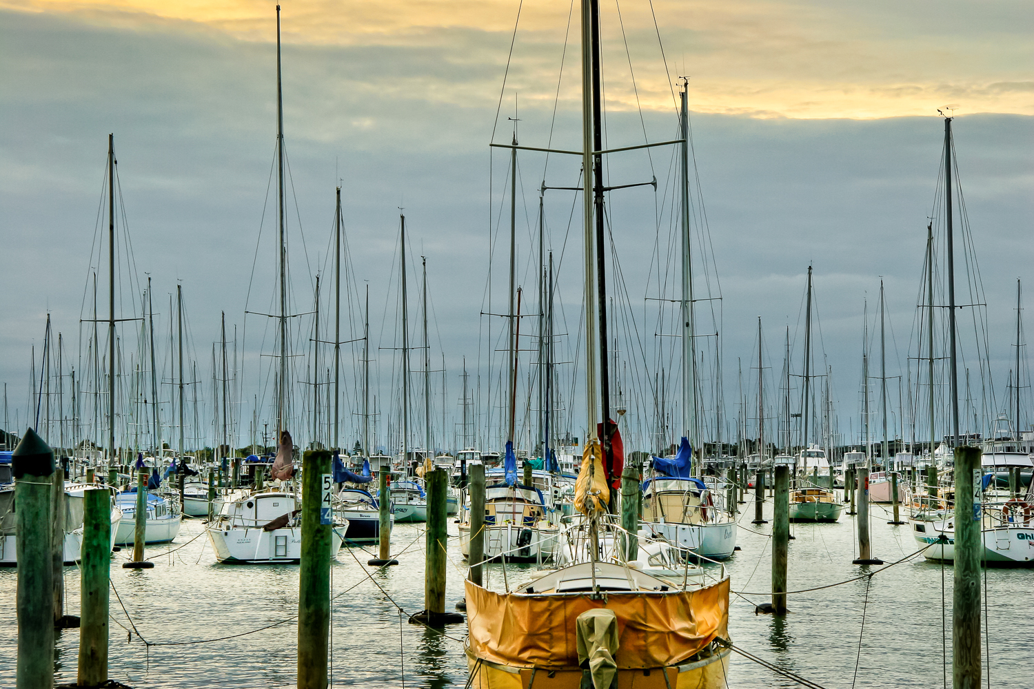 IMG_0586-Edit.jpg