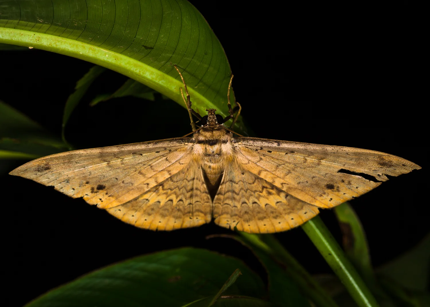 1DX_0238-Edit.jpg