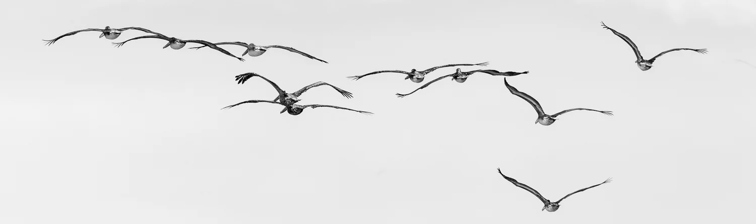 1DX_0743.jpg