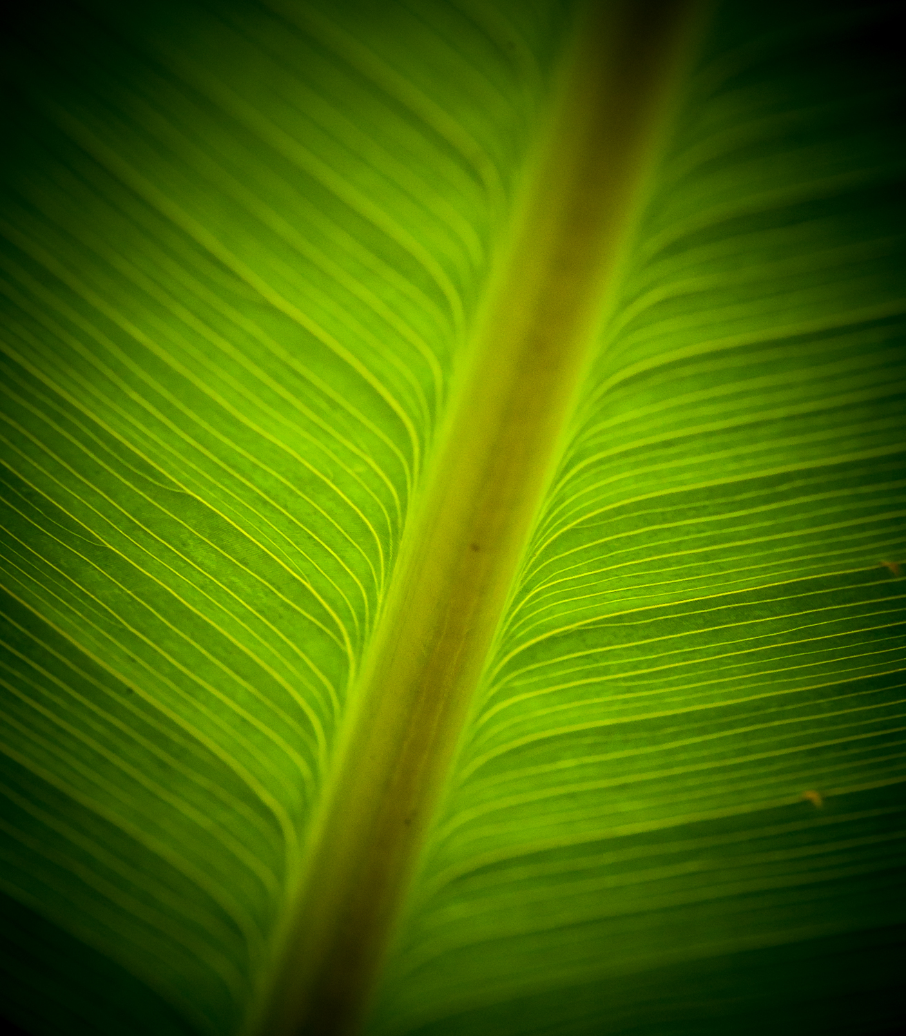 1DX_0392.jpg