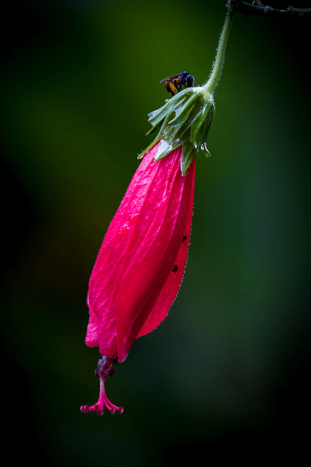 1DX_0418.jpg
