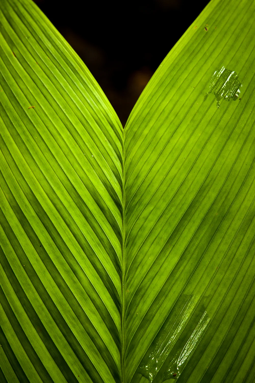 1DX_0453.jpg