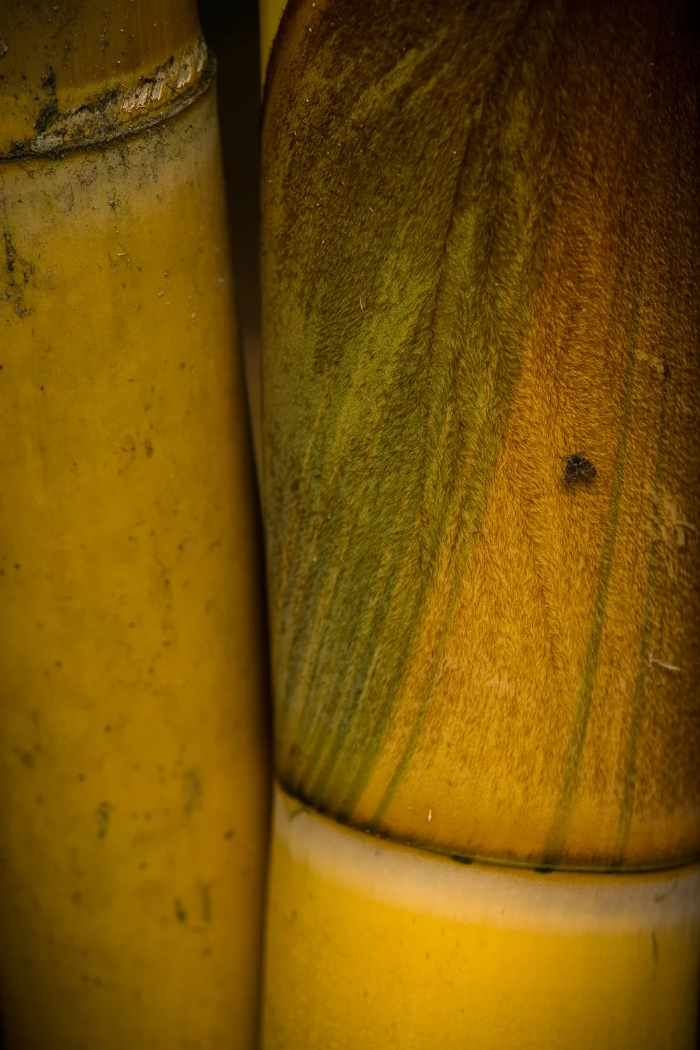 1DX_0465.jpg