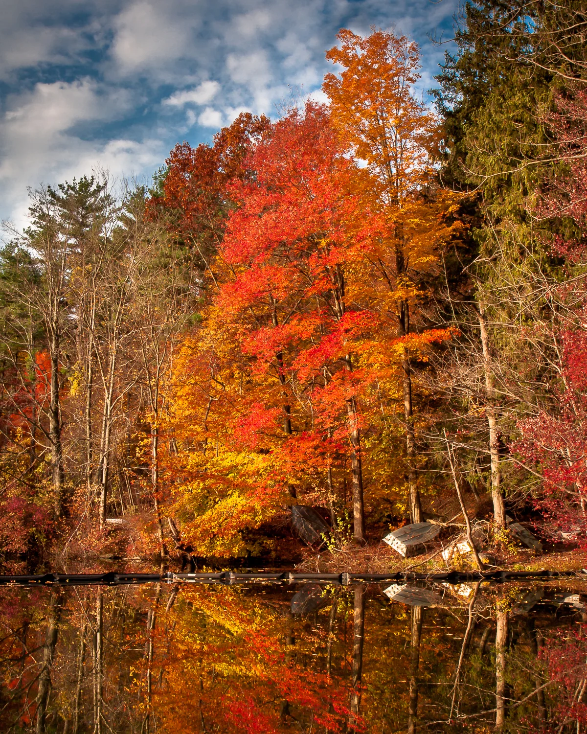 20081101_Kensico_33.jpg