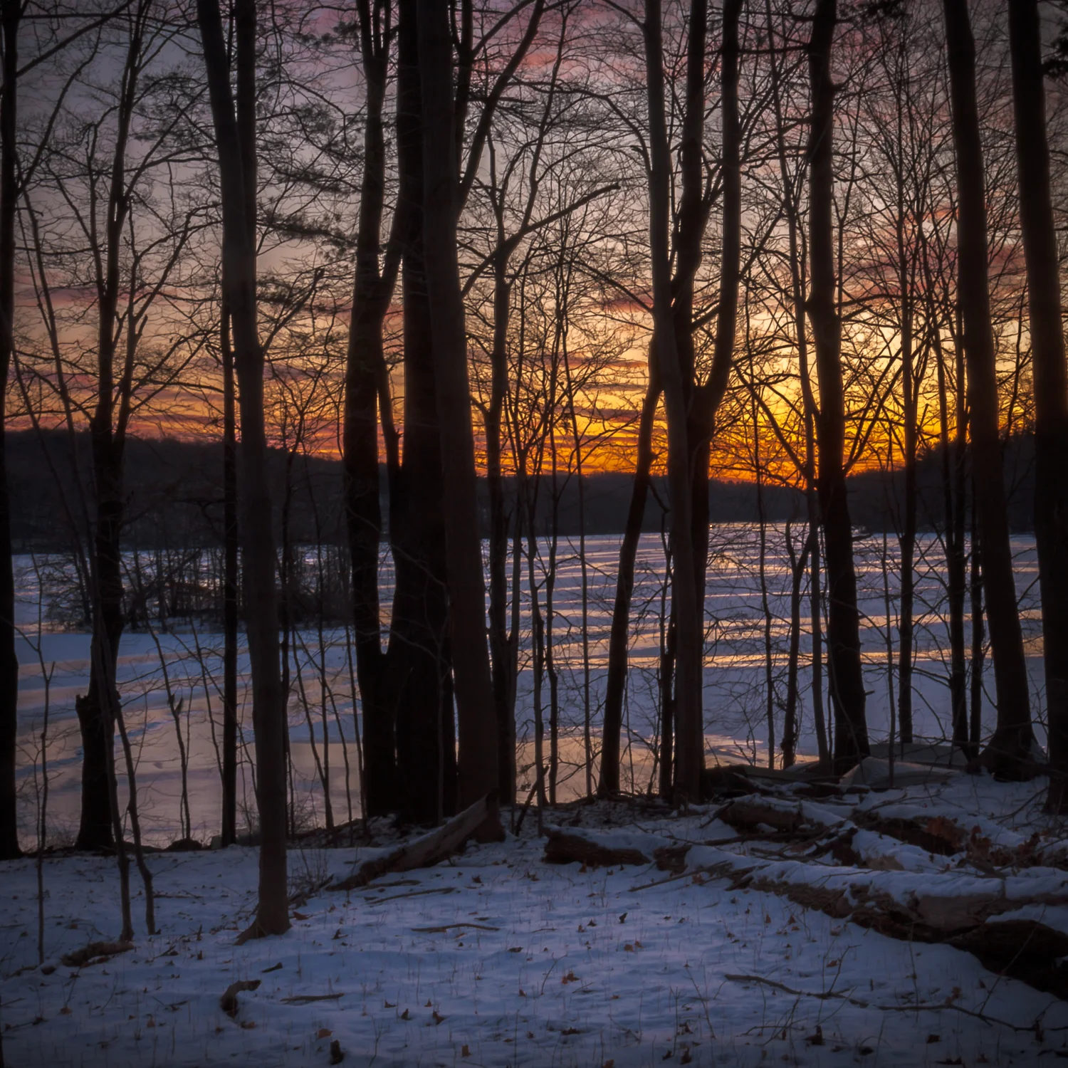 20100110_sunset_19.jpg