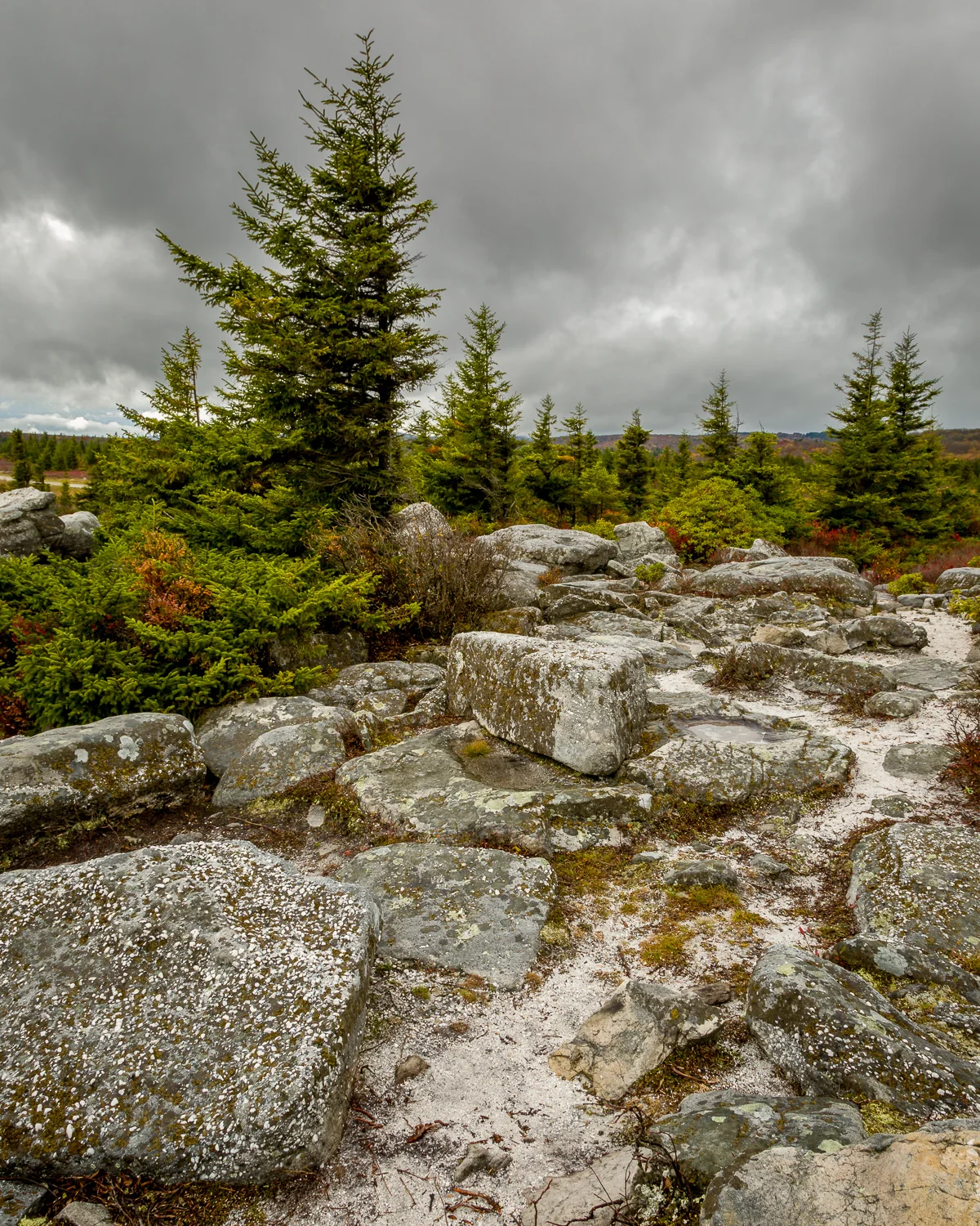 5D3_0127.jpg