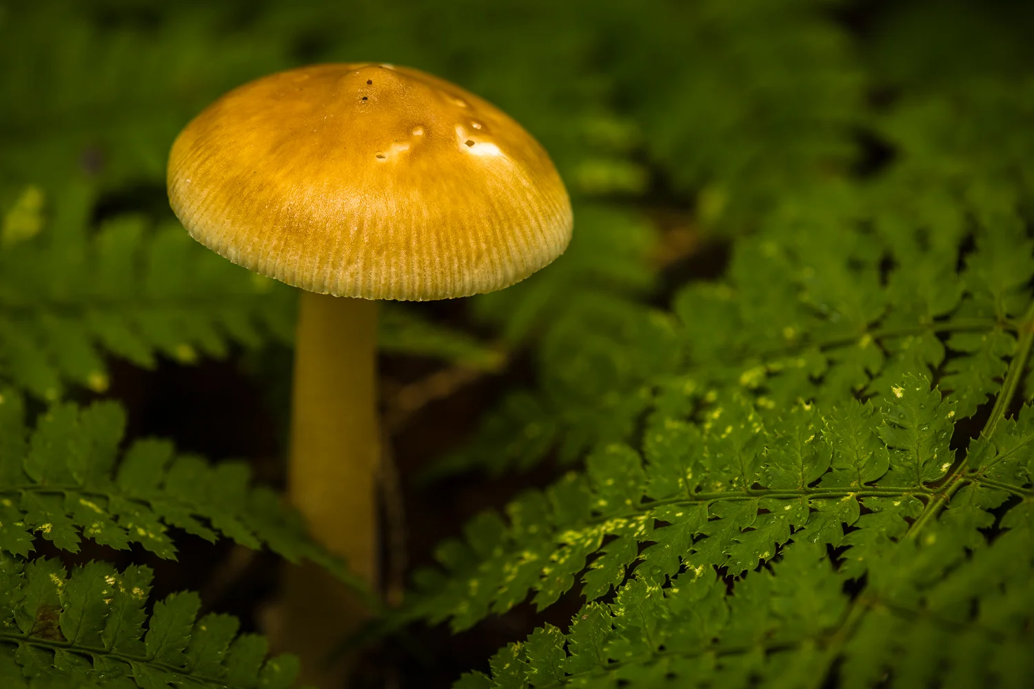 5D3_0292-Edit.jpg
