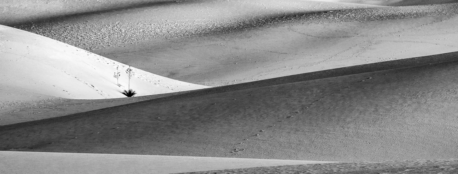 DSCF2067-Edit.jpg