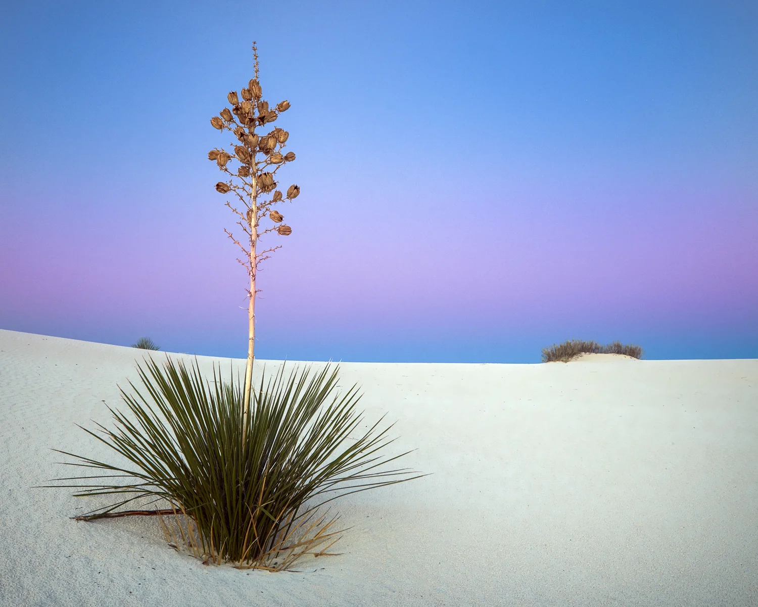 DSCF9121-Edit.jpg