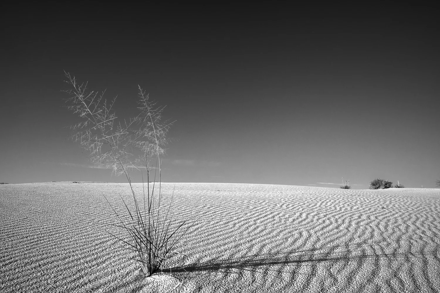 DSCF9134.jpg