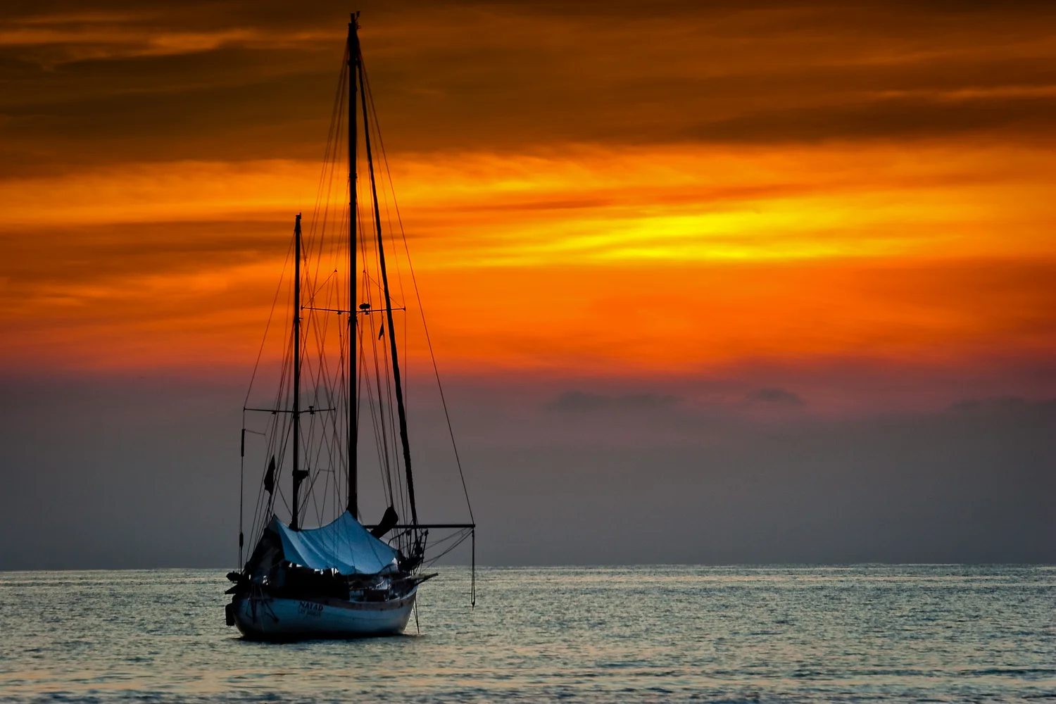 IMG_7082-Edit-3.jpg
