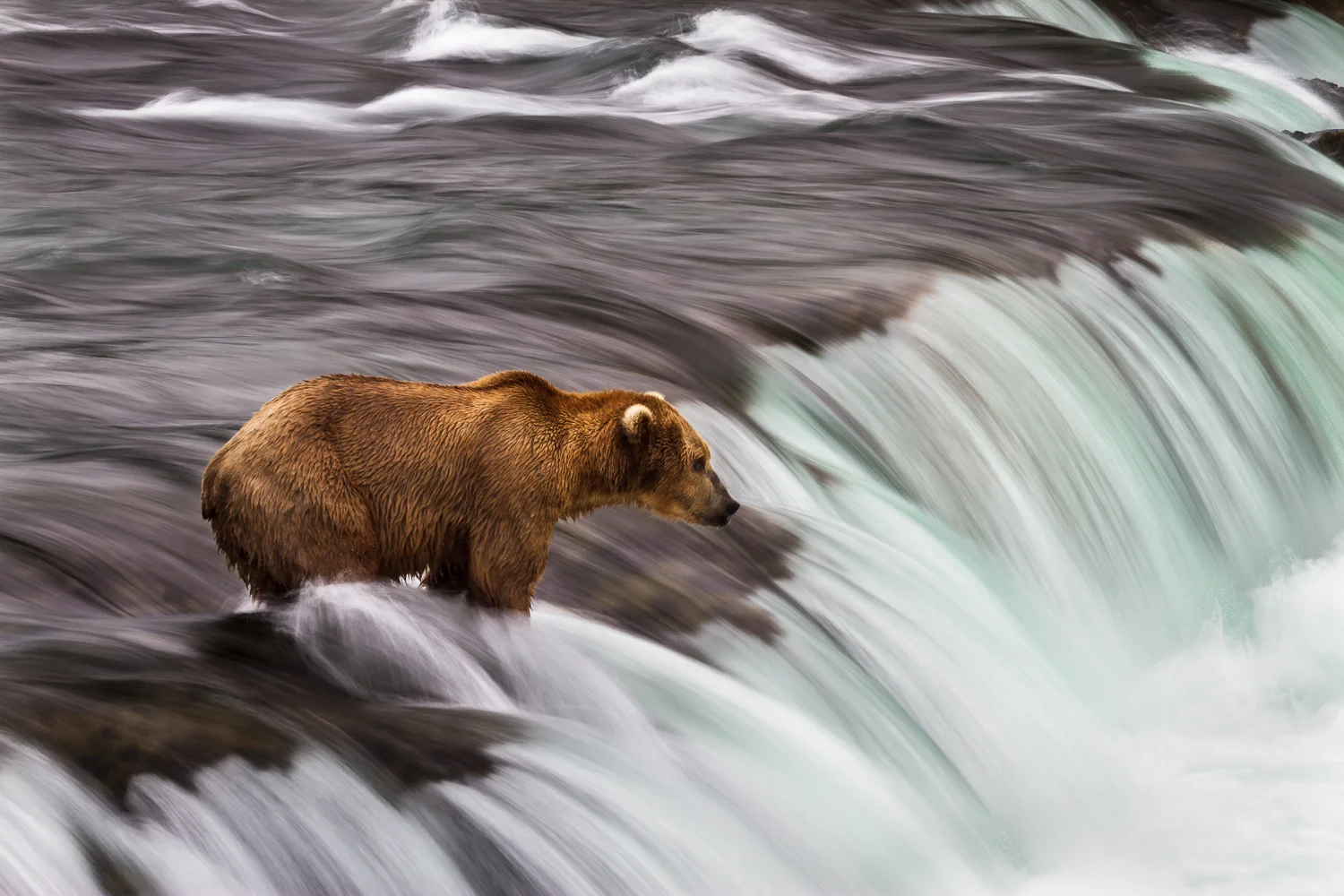 Katmai National Park, Alaska