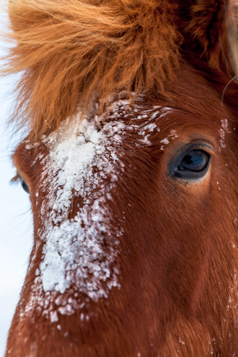 Iceland-2012-34-62.jpg