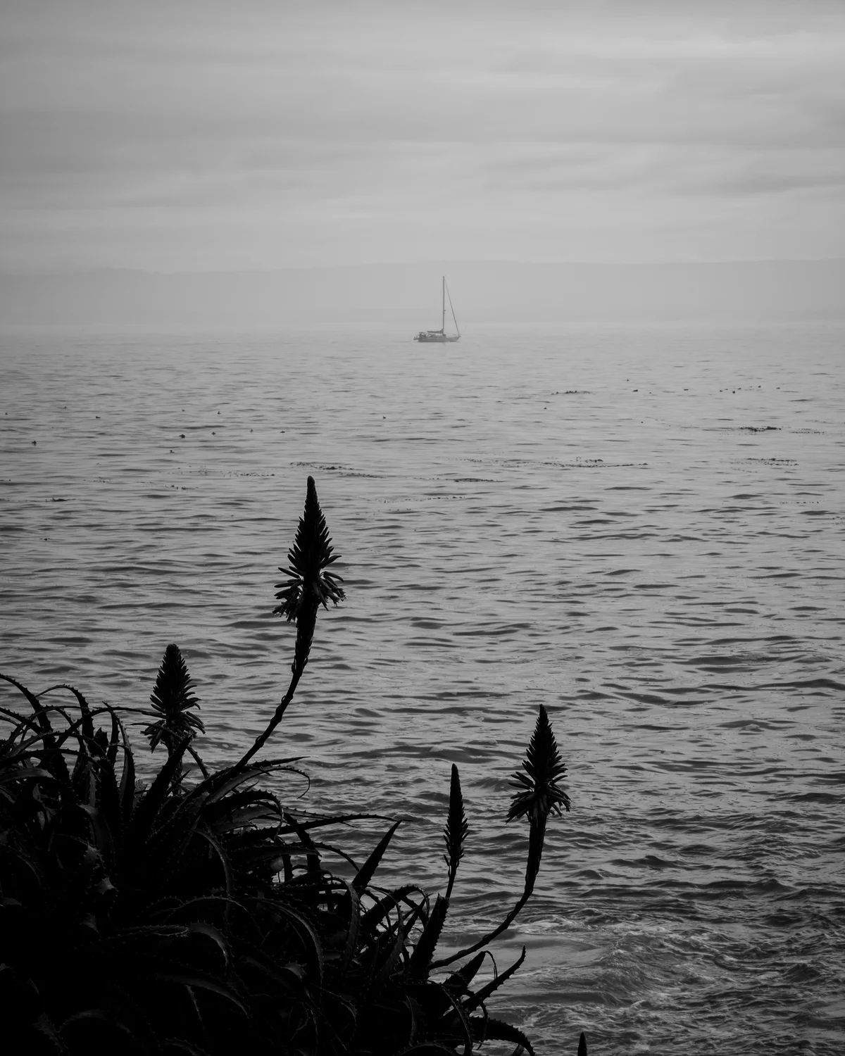 DSCF9027.jpg