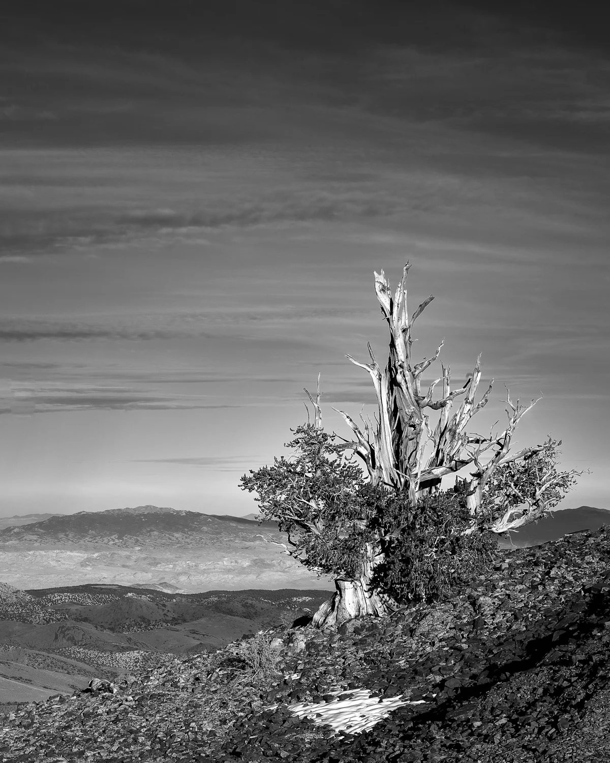 CF016280-Edit.jpg