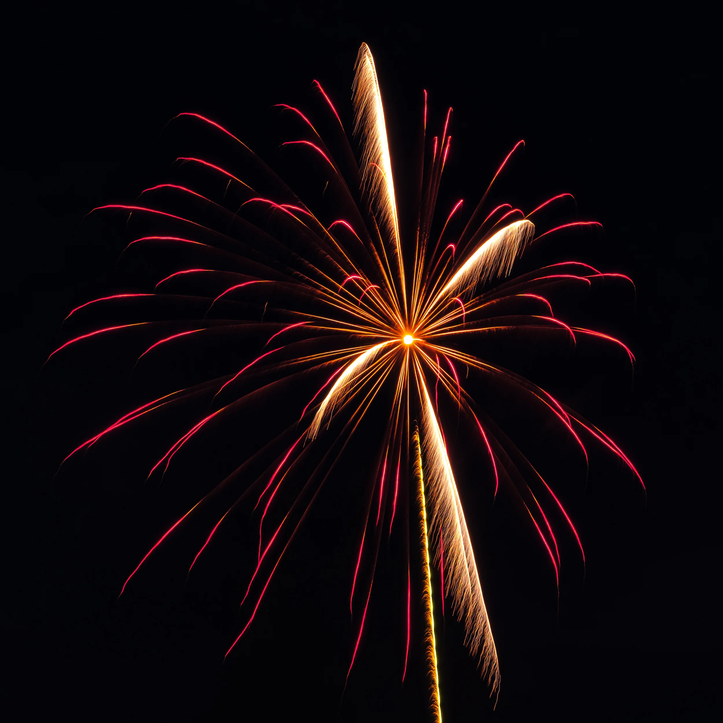 DSCF7894.jpg