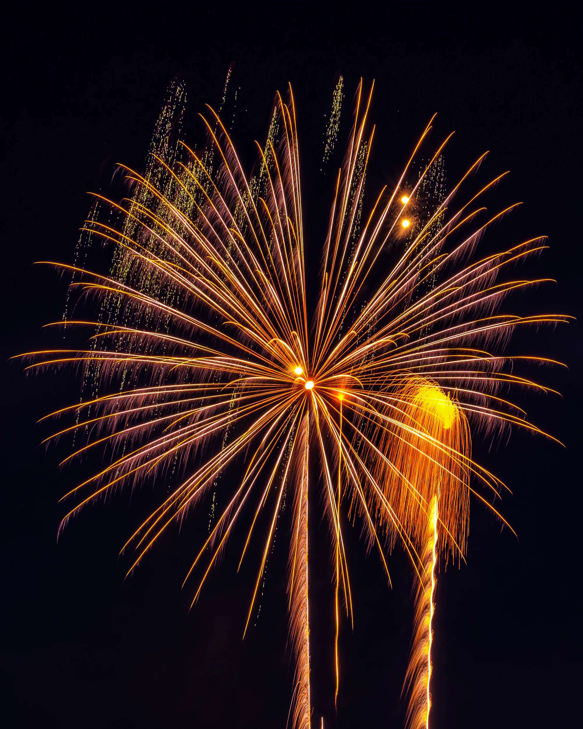 DSCF7901.jpg